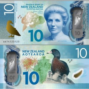 NZD $10 Bills
