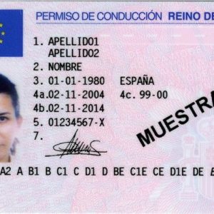 Registered Spanish Drivers License